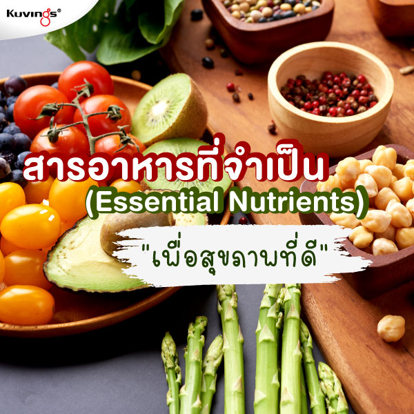 สารอาหารที่จำเป็น (Essential Nutrients) เพื่อสุขภาพที่ดี